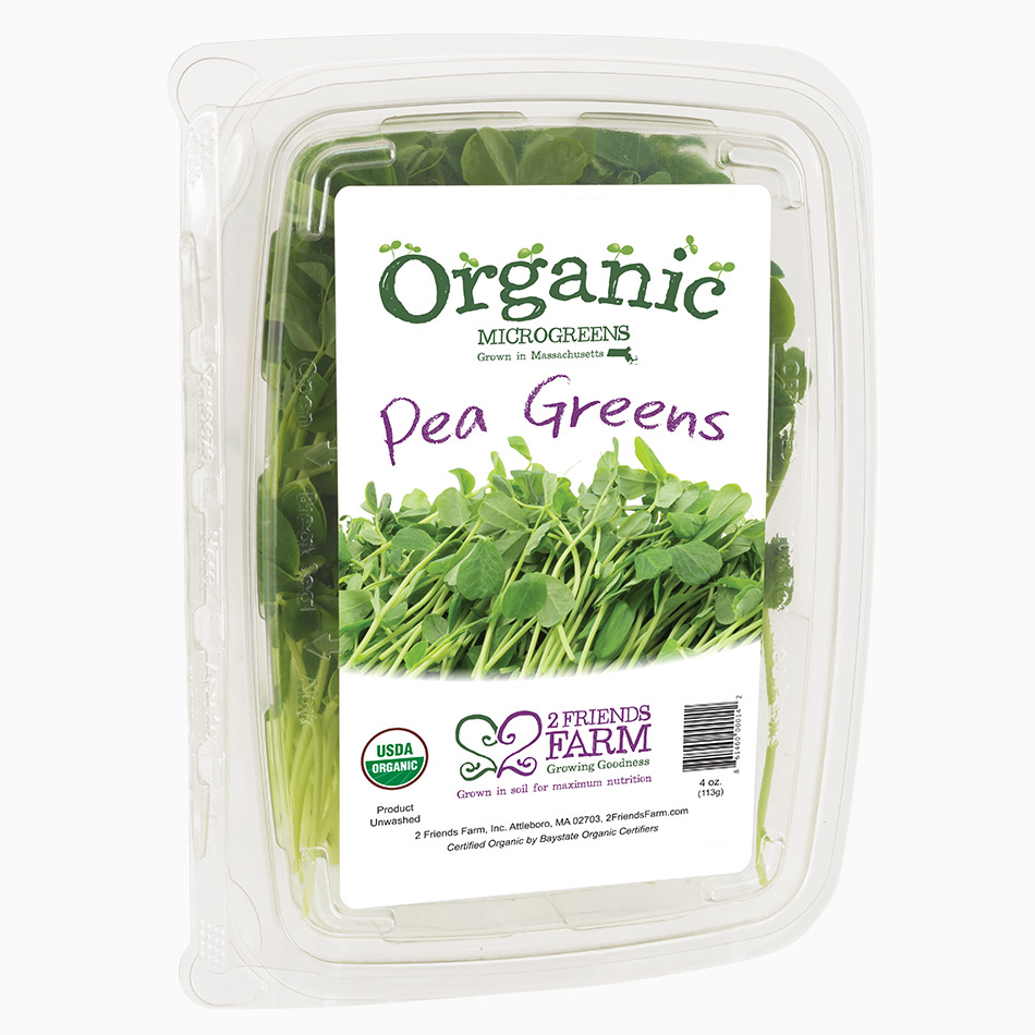Pea Greens | Organic microgreens pea shoots fresh greens RI MA