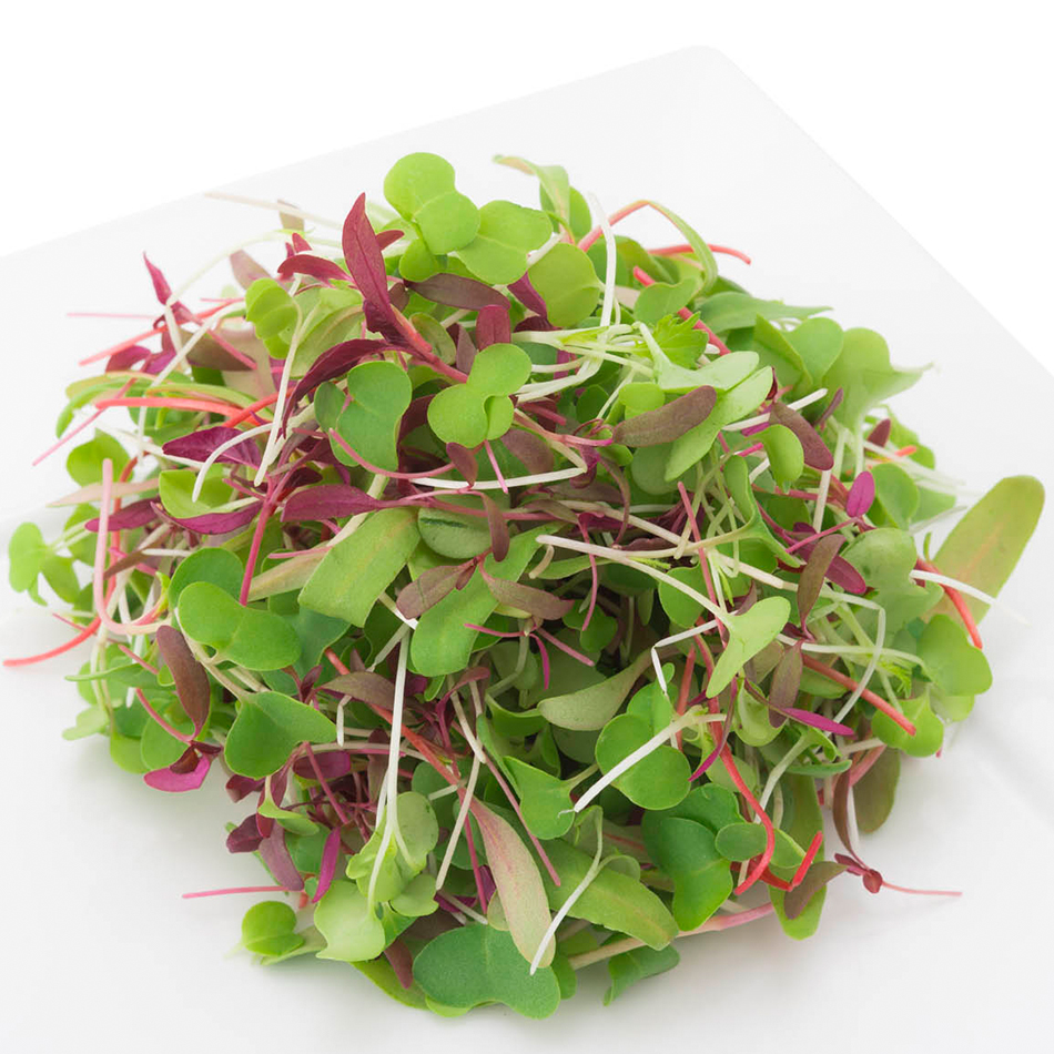 Sweet Micro Mix | Chard, red amaranth, kale, pac choy mixed microgreens